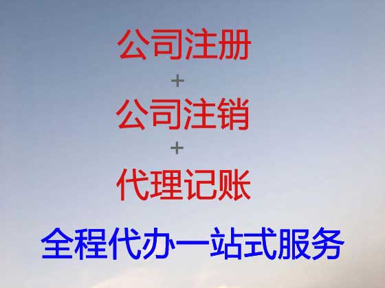 广元公司个体工商户注册-公司减资变更